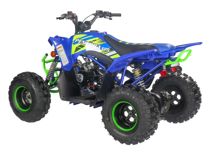 PENTORA 125cc ATV High Quality Quad - Image 16