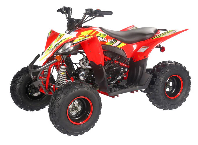PENTORA 125cc ATV High Quality Quad - Image 19