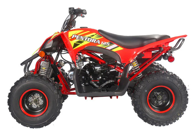 PENTORA 125cc ATV High Quality Quad - Image 20