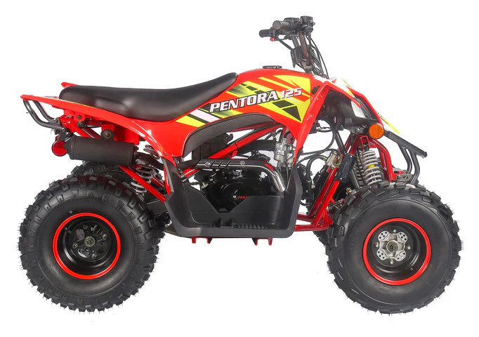 PENTORA 125cc ATV High Quality Quad - Image 24