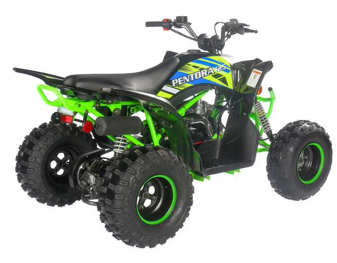 PENTORA 125cc ATV High Quality Quad - Image 26