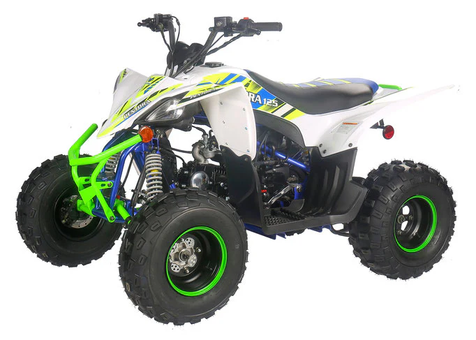 PENTORA 125cc ATV High Quality Quad - Image 27