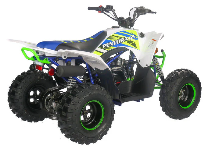 PENTORA 125cc ATV High Quality Quad - Image 28