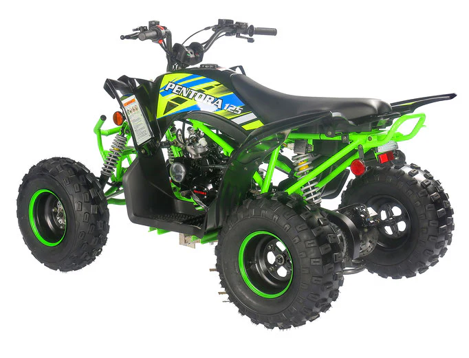 PENTORA 125cc ATV High Quality Quad - Image 36