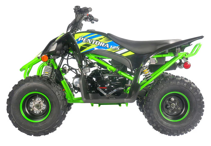 PENTORA 125cc ATV High Quality Quad - Image 38