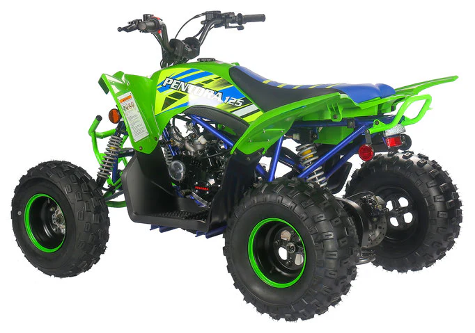 PENTORA 125cc ATV High Quality Quad - Image 4
