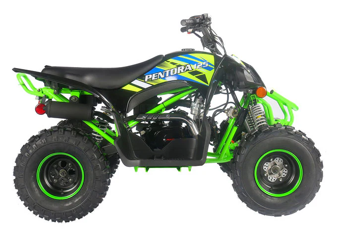 PENTORA 125cc ATV High Quality Quad - Image 41